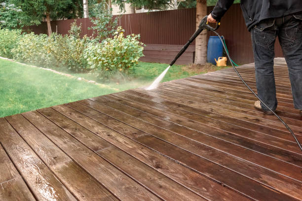 Best Driveway Cleaning and Restoration in Celebration, FL